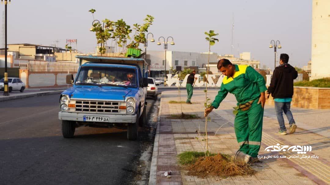 کاشت ۵۰ اصله نهال سپستان در خیابان شهید چمران برازجان