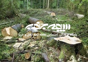 جنگل؛ زیست بومی با تنوع زیستی پیچیده و به هم پیوسته