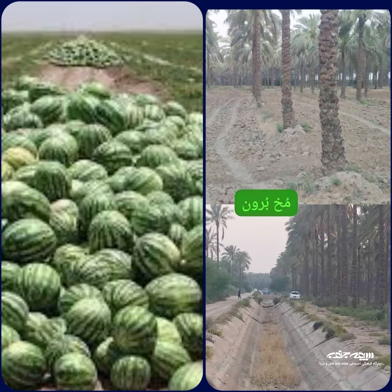 بحران آب، ناترازی در بارش یا مدیریت