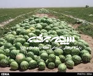هندوانه؛ روایت بی تدبیری و مرگ آب