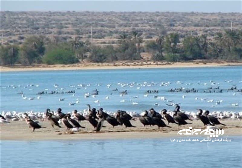 پارک ملی