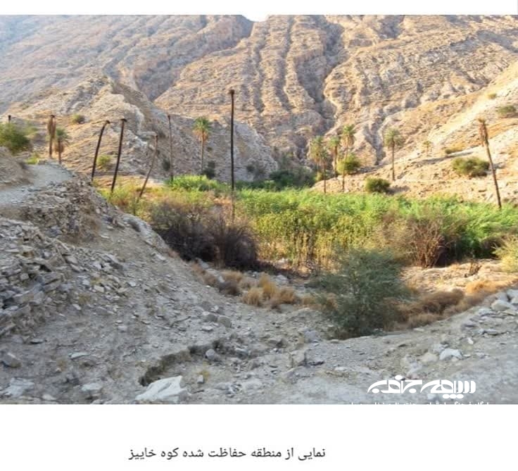 منطقه حفاظت شده