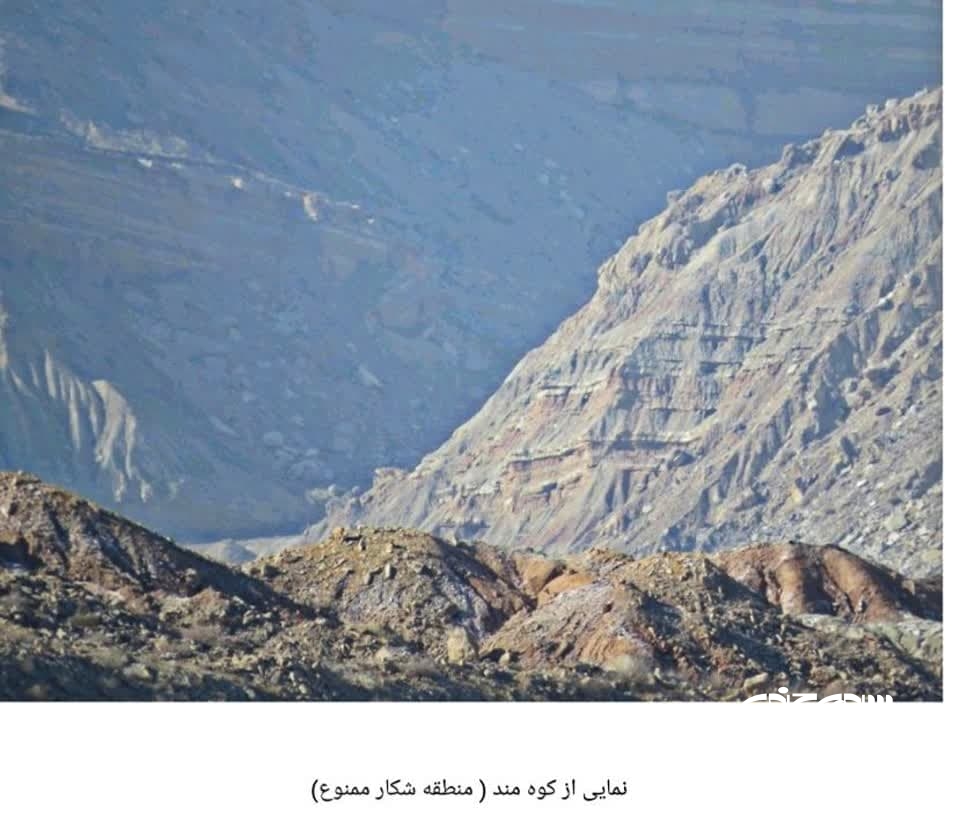 منطقه شکار ممنوع