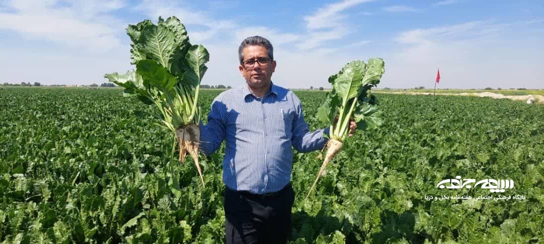 پاسخ، بیانیه و رفع ابهام منتقدین کشت پاییزه چغندرقند در استان بوشهر