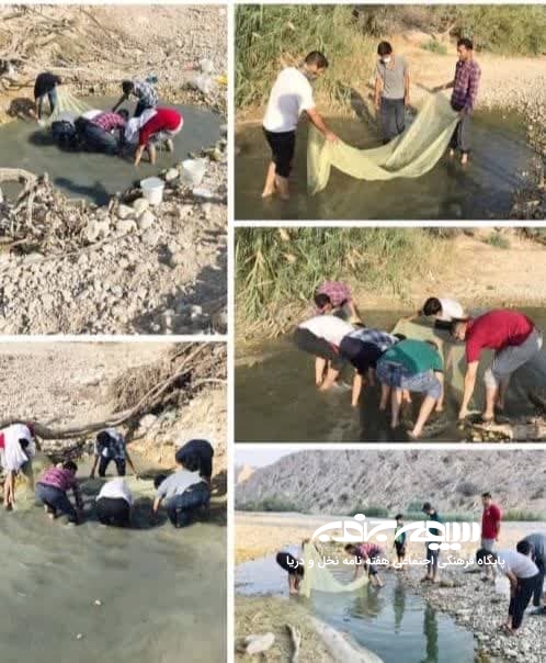 کاریز؛ حامی گونه های گیاهی بومی