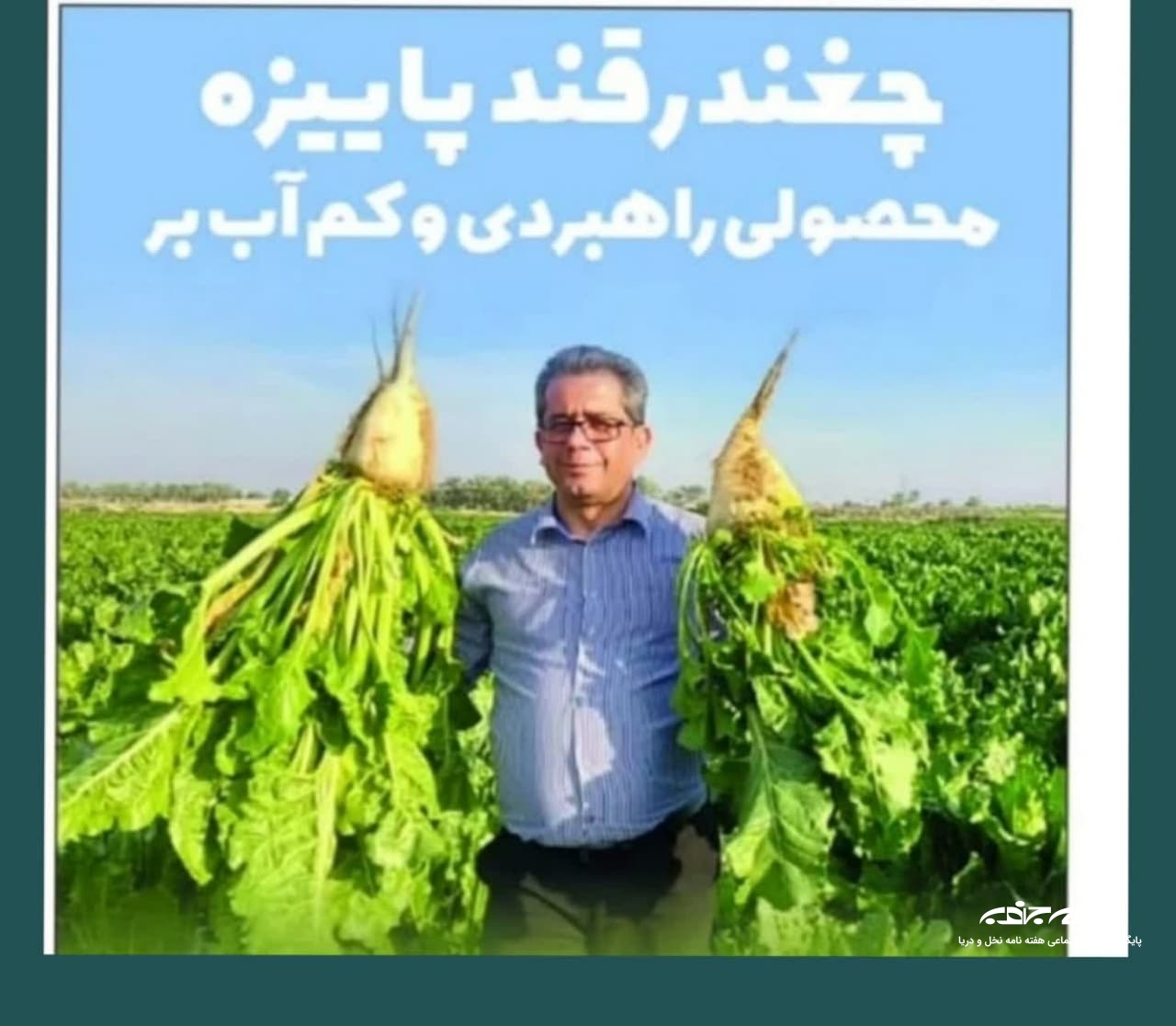 چغندرقند پاییزه؛ محصولی راهبردی و کم آب بر