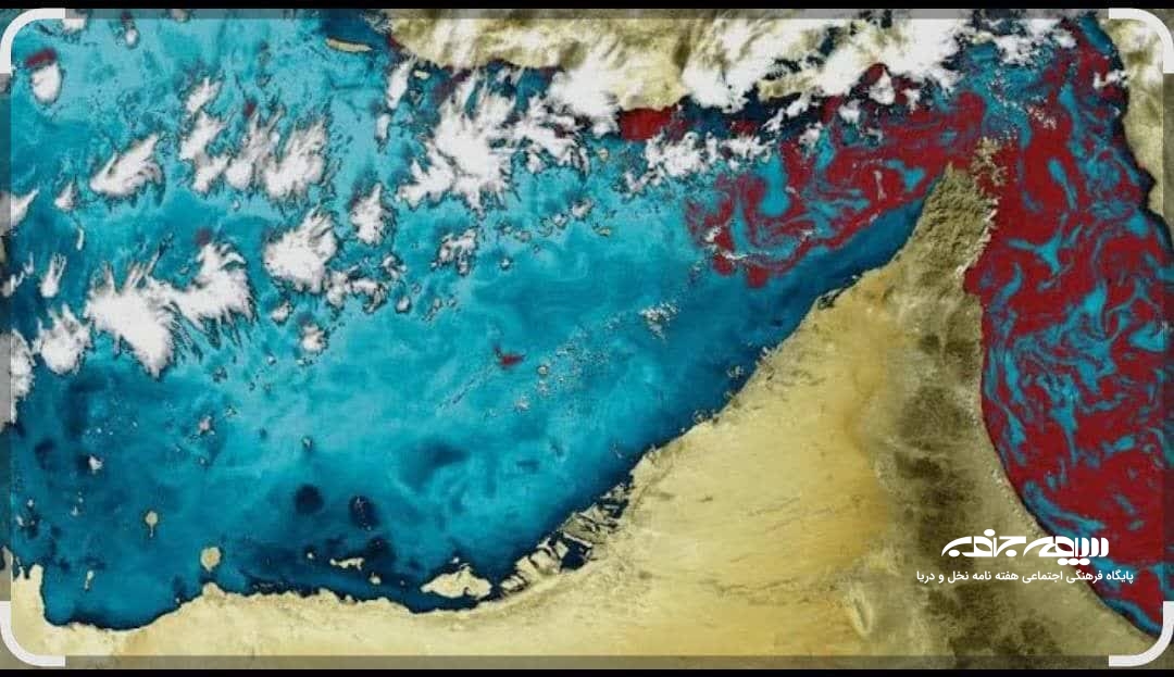 هوش مصنوعی در پایش سلامت دریایی خلیج فارس: شناسایی زودهنگام پدیده‌های شکوفایی جلبکی مضر (HABs) و تغییرات فیتوپلانکتون‌ها