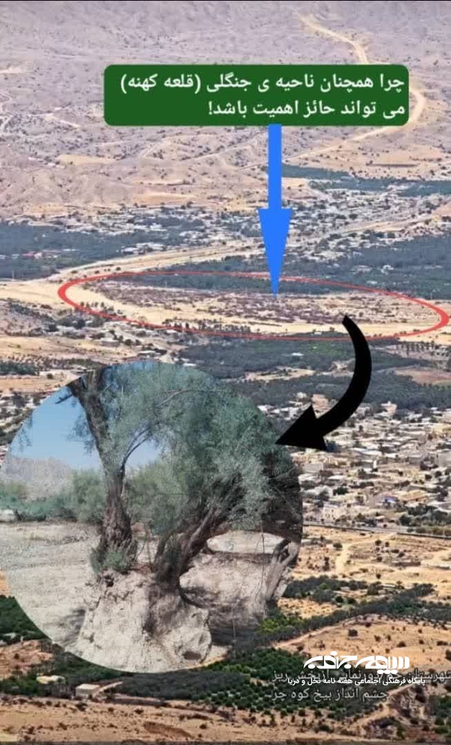 ضرورت احیای جنگل طبیعی روستای قلعه کهنه بخش ریز