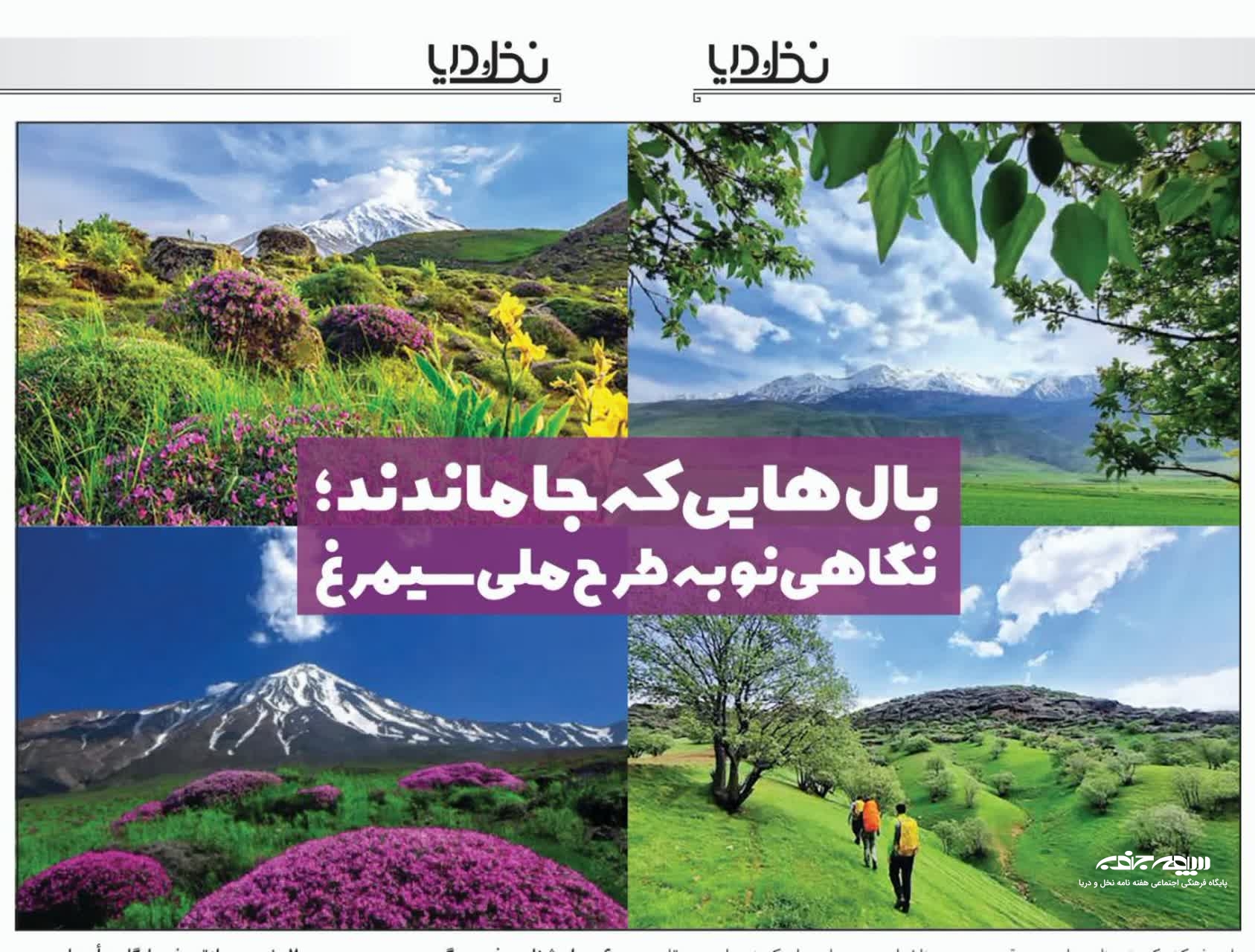 بال هایی که جا ماندند؛ نگاهی نو به طرح ملی سیمرغ