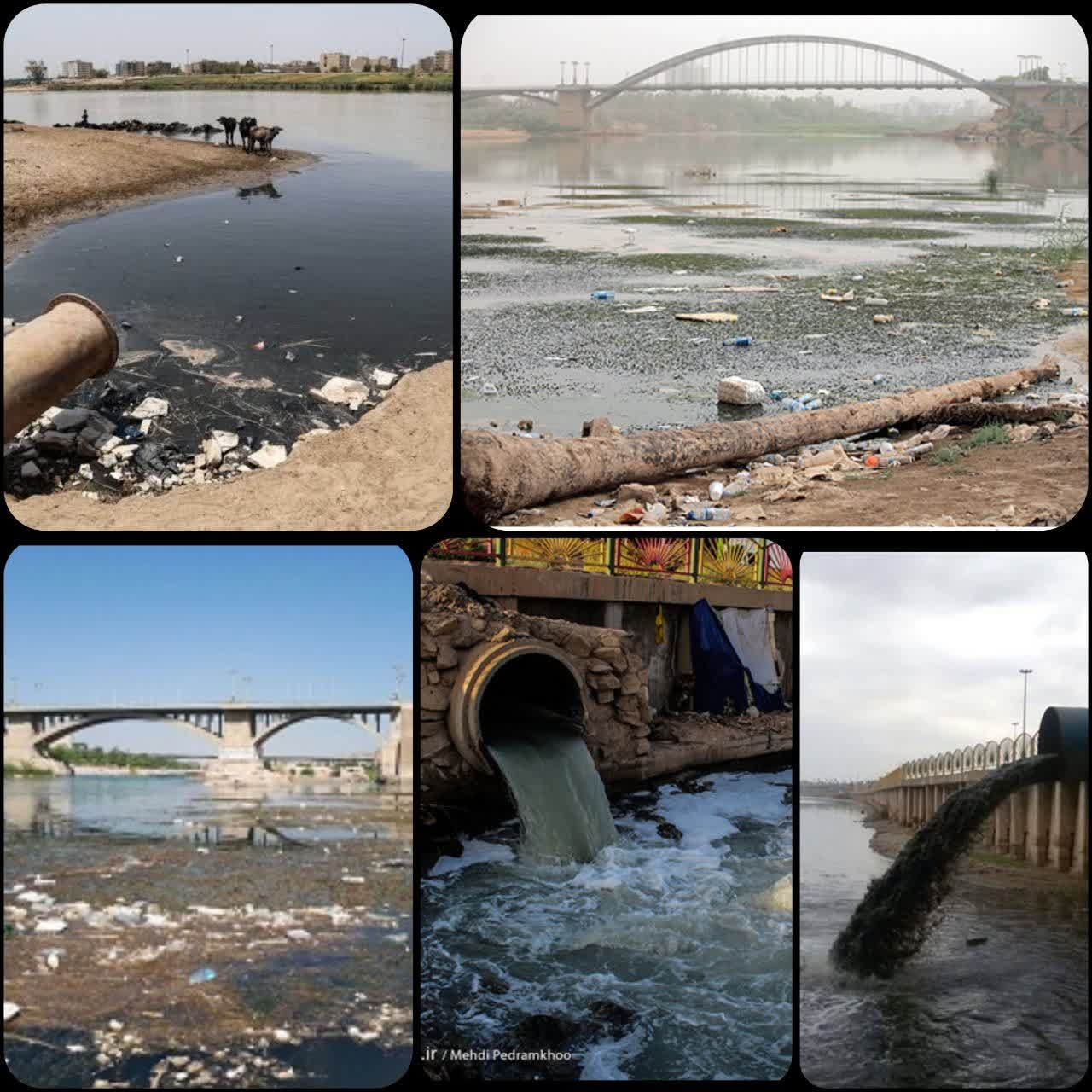 سقوط کیفیت آب در کارون و تالاب شادگان؛ هشداری جدی برای آینده خلیج فارس