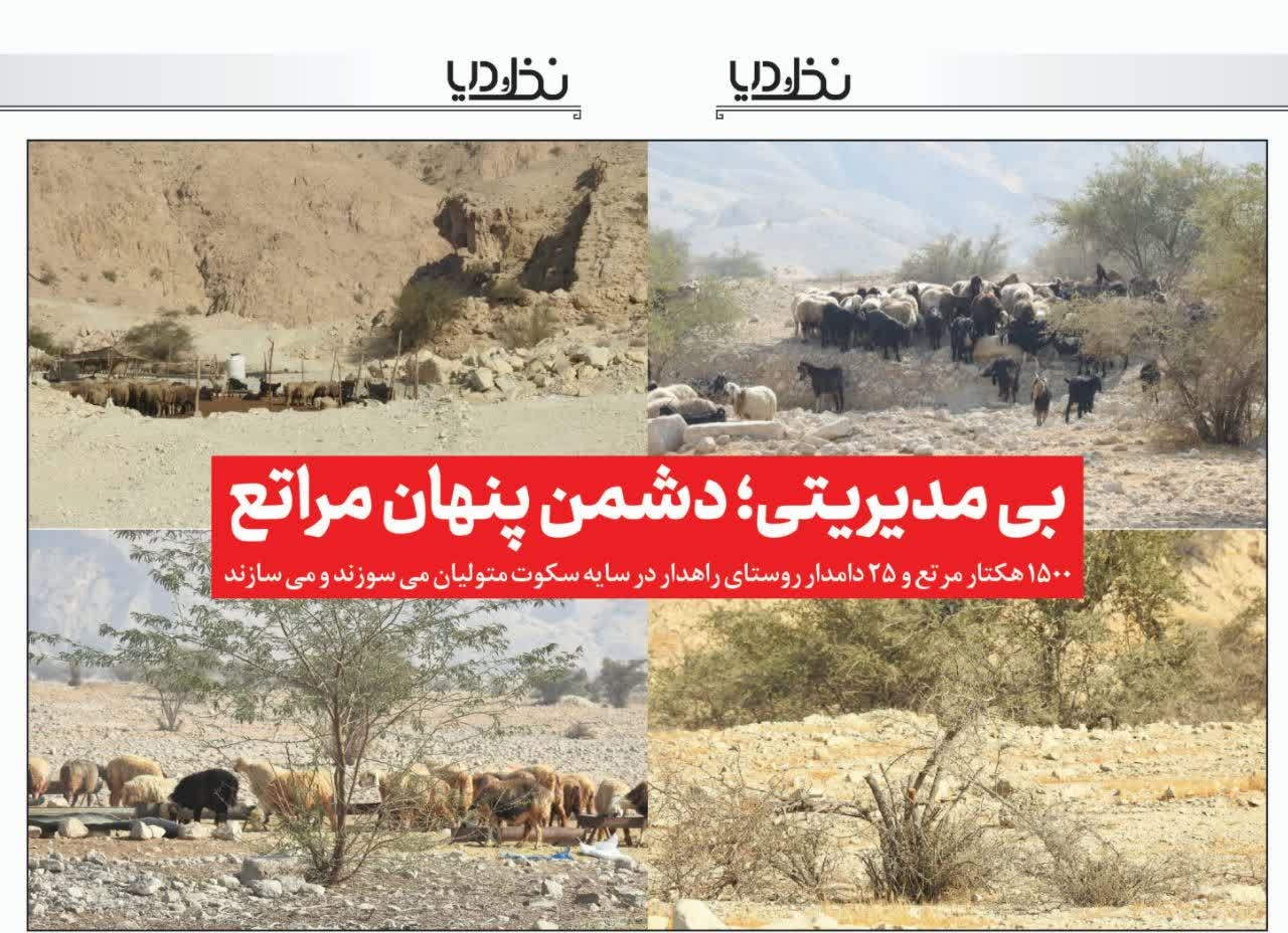 بی مدیریتی؛ دشمن پنهان مراتع