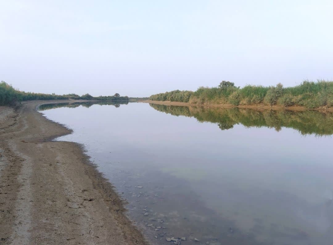 آبگیری تالاب، احیای تالاب نیست، احیای زیست بوم تالابی با تحقق حقابه پایدار و پیوسته محیط زیست