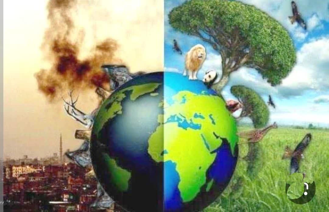 محیط زیست در مسلخ شعار؛ از «سبزشویی» نمایشی تا قربانی شدن قانون