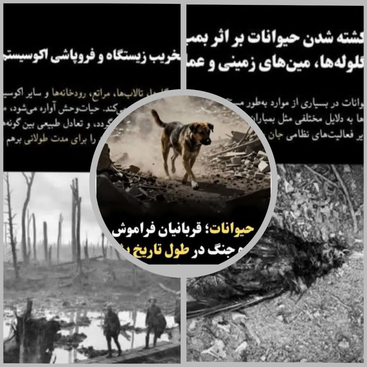 حیات وحش؛ قربانیان خاموش جنگها